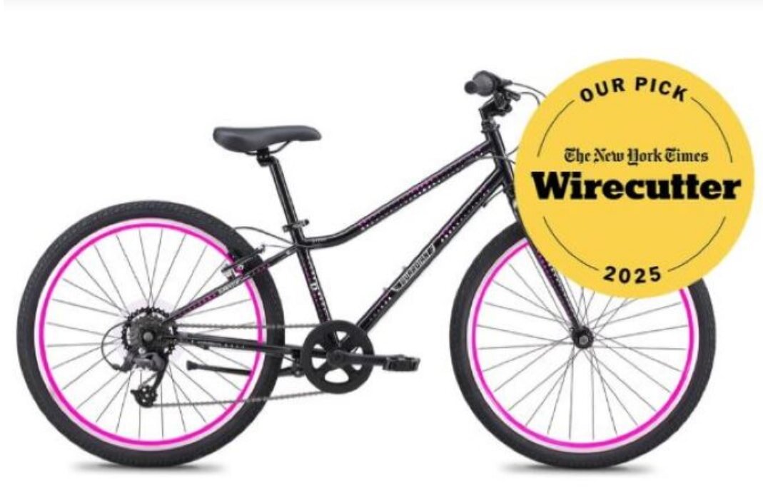 Brightly colored Christmas lights displayed on a white background, evoking a cheerful holiday spirit.