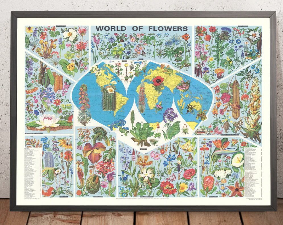 Vintage poster featuring a vibrant array of flowers in a whimsical, colorful design celebrating the beauty of nature.