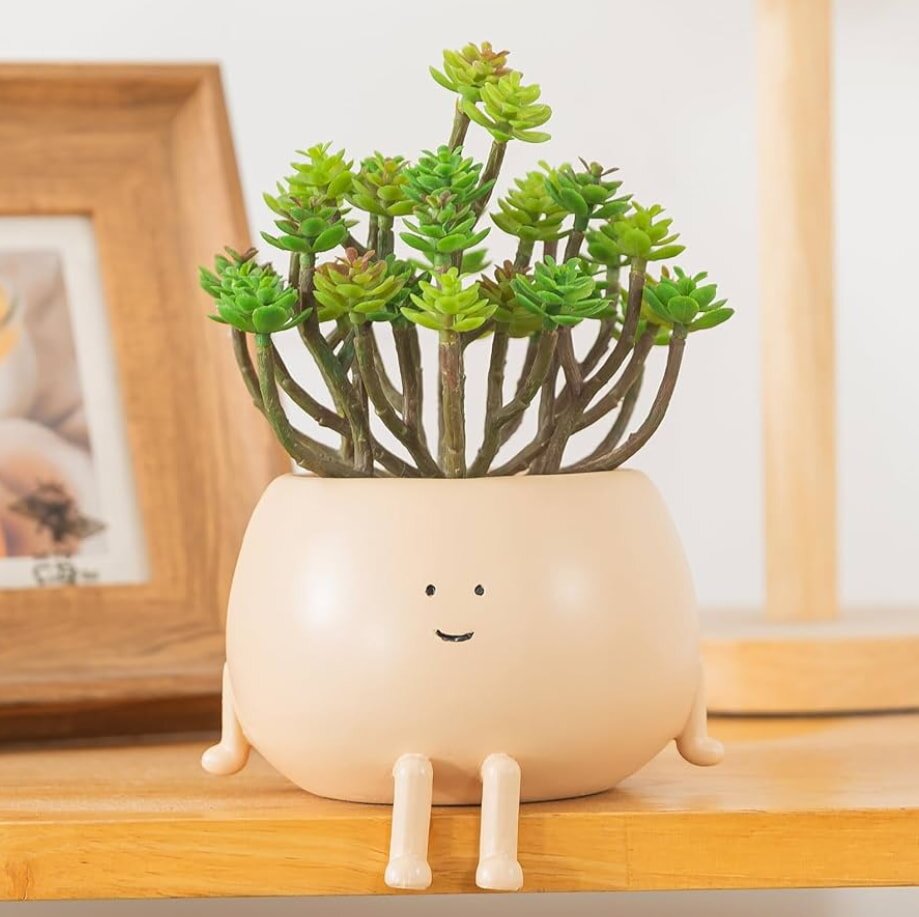 A whimsical beige planter with a smiley face and small legs sits on a wooden shelf, displaying vibrant green succulents. A framed photo is in the background.
