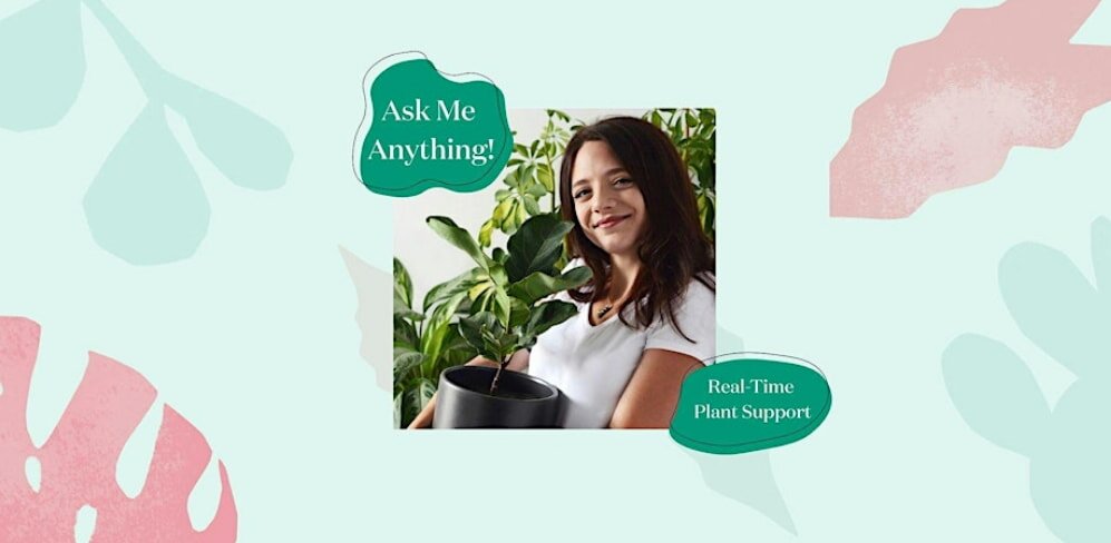 Kristine invites viewers to engage in a Q&A session, encouraging open dialogue and questions.