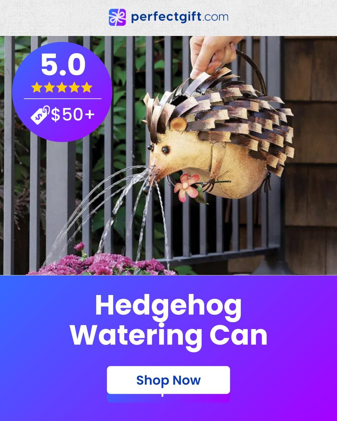 Harold Hedgehog Watering Can