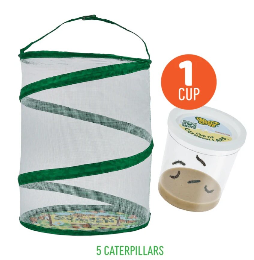 Mesh butterfly habitat with green trim next to a cup containing five caterpillars. An orange circle says "1 Cup." Text reads "5 Caterpillars."