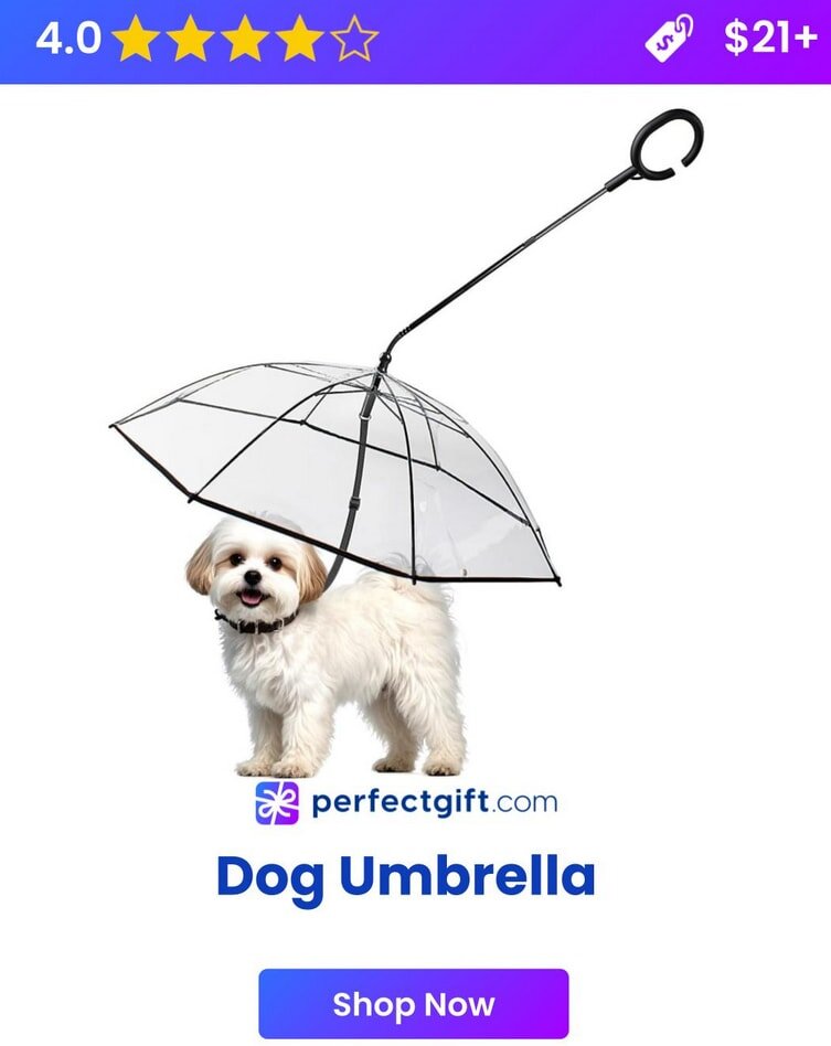 Fluffy dog under a clear umbrella with a handle, rated 4 stars, priced $21+, from perfectgift.com. Text: Dog Umbrella.