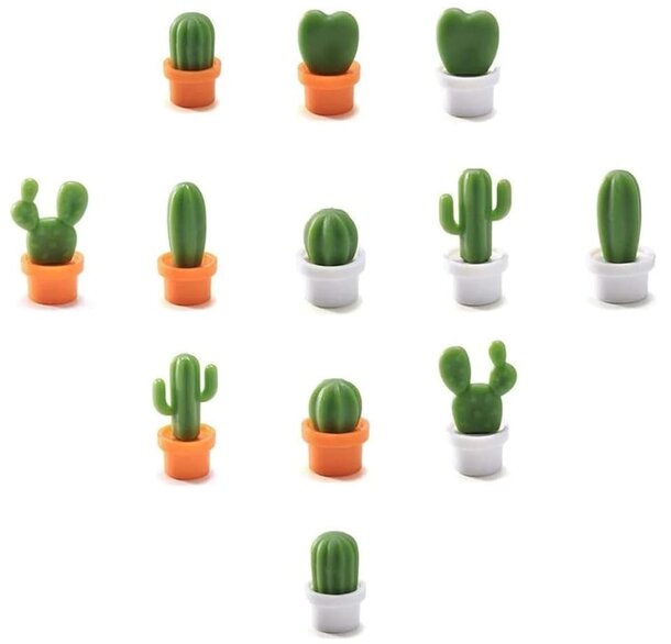 A collection of various cactus plants displayed in decorative pots on a wooden surface.