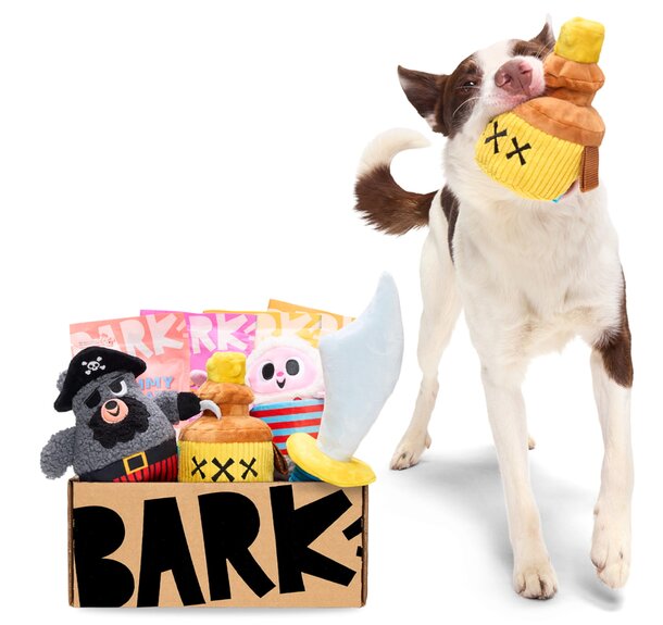 A dog holds a box filled with colorful toys, looking playful and eager to play.