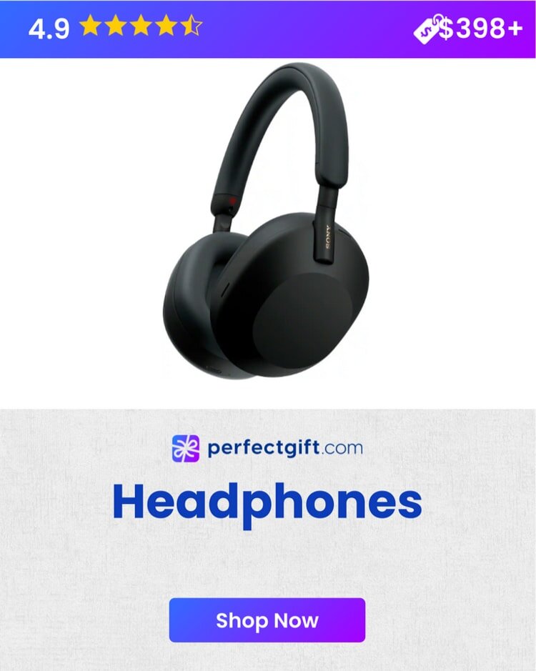 Premium Noise-Canceling Headphones
