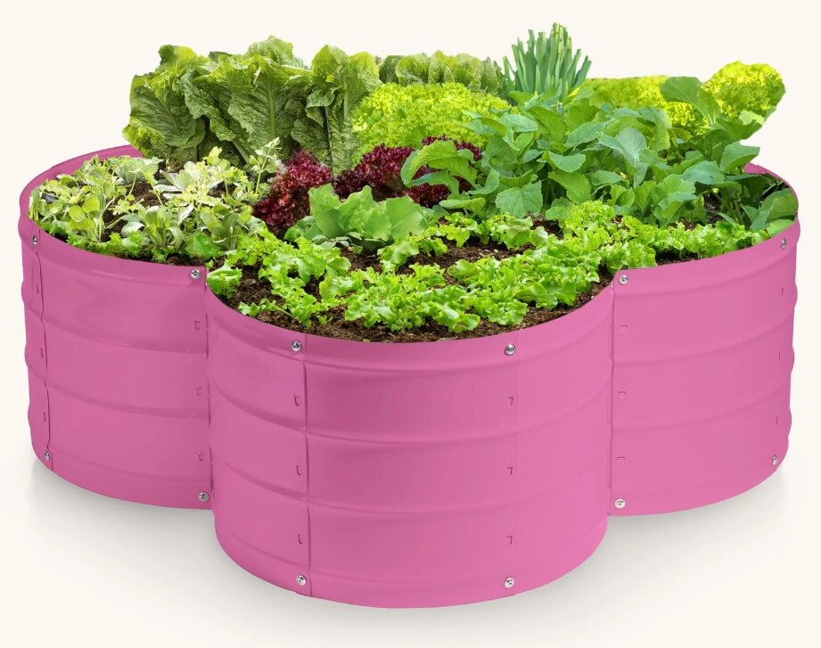 Bright pink, three-sectioned raised garden bed filled with lush green and red leaf lettuce, herbs, and vegetables, conveying freshness and vibrancy.