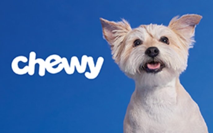 Happy dog with fluffy ears against a blue background, next to the Chewy logo in white.