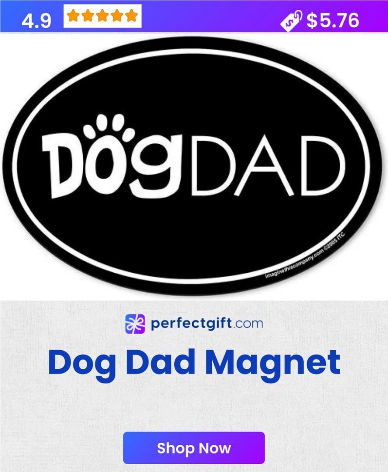 Pet hair removal gloves