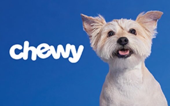 A happy dog with fluffy ears sits against a blue background beside the Chewy logo, conveying a sense of joy and pet care.