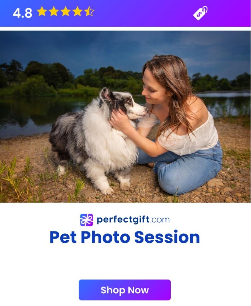 A playful dog poses for a photo during a pet photo session in a sunny outdoor setting.
