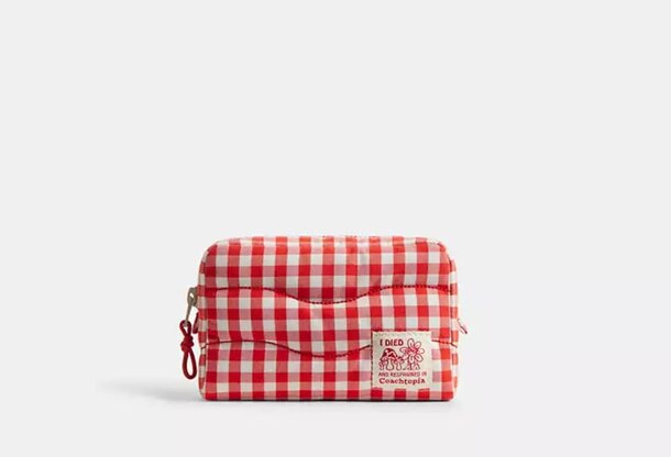 A red and white gingham checker bag with a classic pattern, perfect for casual outings or picnics.