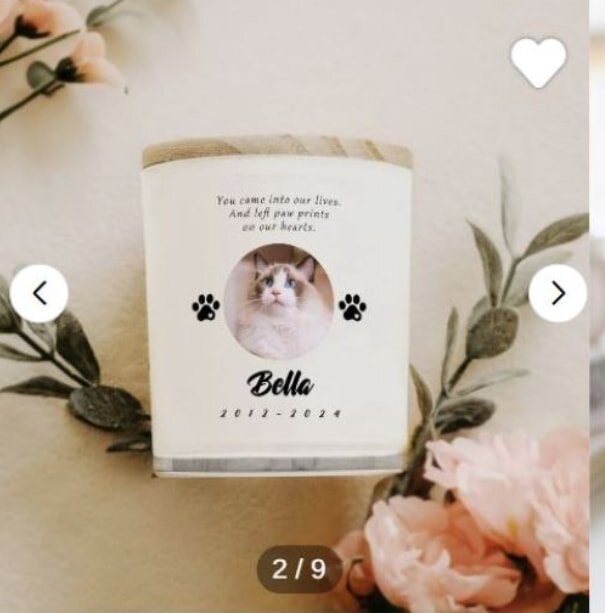 A beige urn with the image of a cat named Bella, adorned with paw prints, greenery, and pink flowers. Text reads: "You came into our lives. And left paw prints on our hearts. Bella 2012-2024." The setting conveys a warm, sentimental tone.