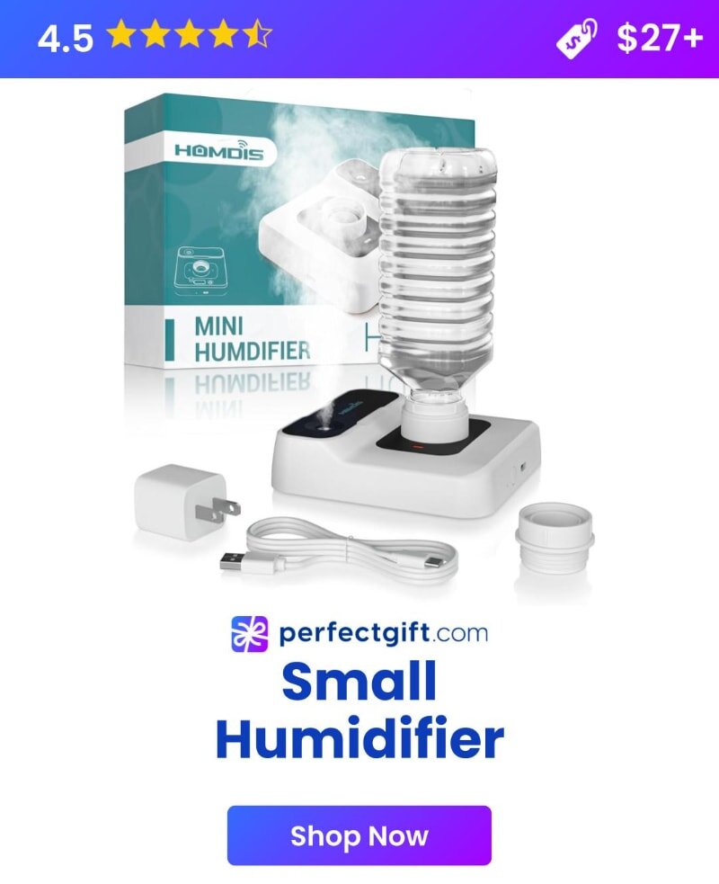 Small office humidifier