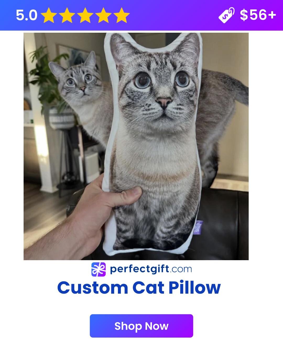 Custom cat pillow or blanket