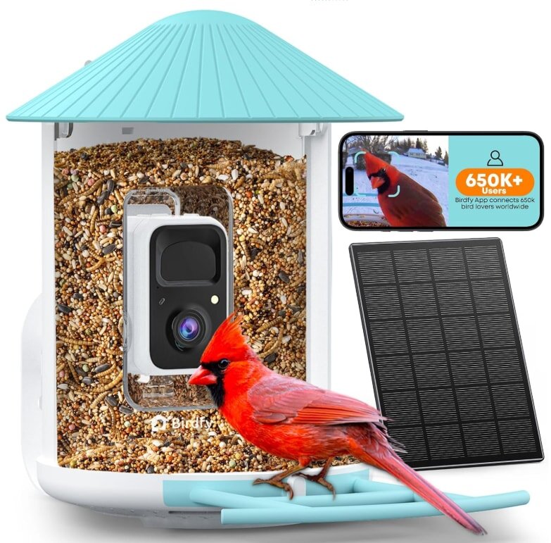 A bird perched on a bird feeder equipped with a solar panel, surrounded by greenery.