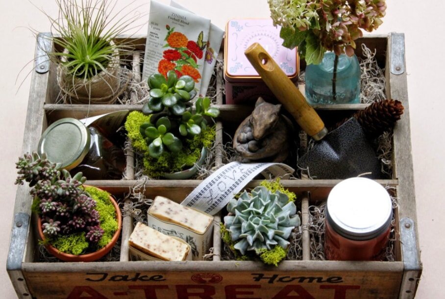 Wooden crate with potted plants, gardening tools, and supplies