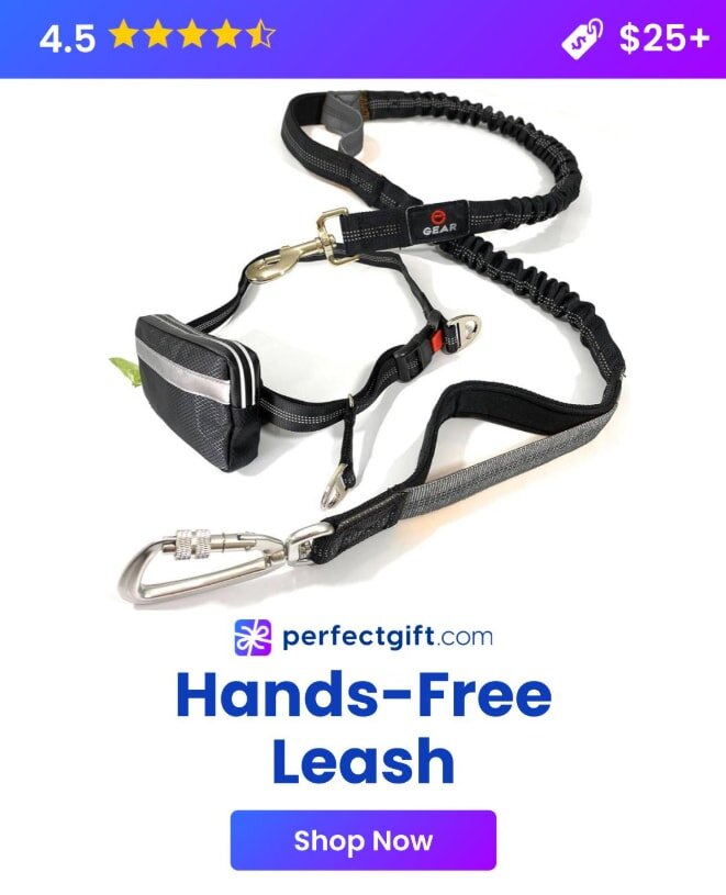 Hands-free dog leash