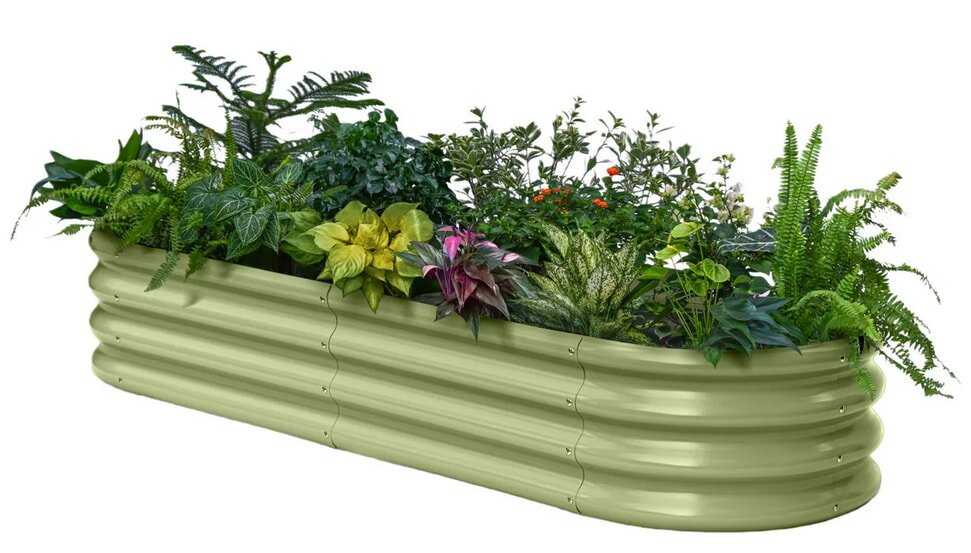 Kristine invites viewers to engage in a Q&A session, encouraging open dialogue and questions.