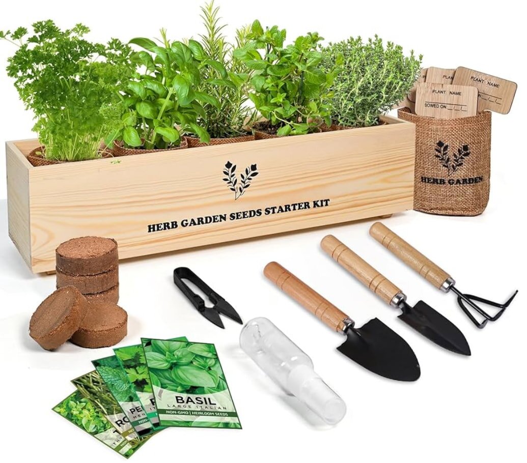 Herb garden seeds starter kit with tools and plants