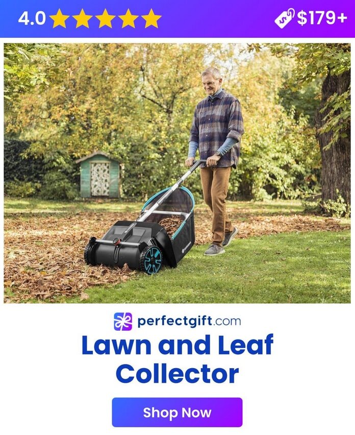 Man using a lawn and leaf collector on an autumn day, surrounded by fallen leaves and trees. 