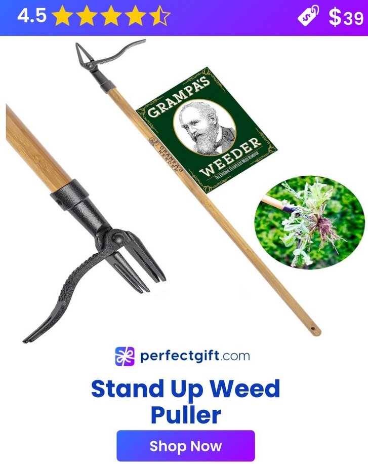 Stand Up Weed Puller with 4.5 stars, $39. Grampa's Weeder tool shown with pulled weed. PerfectGift.com offers "Shop Now" button.