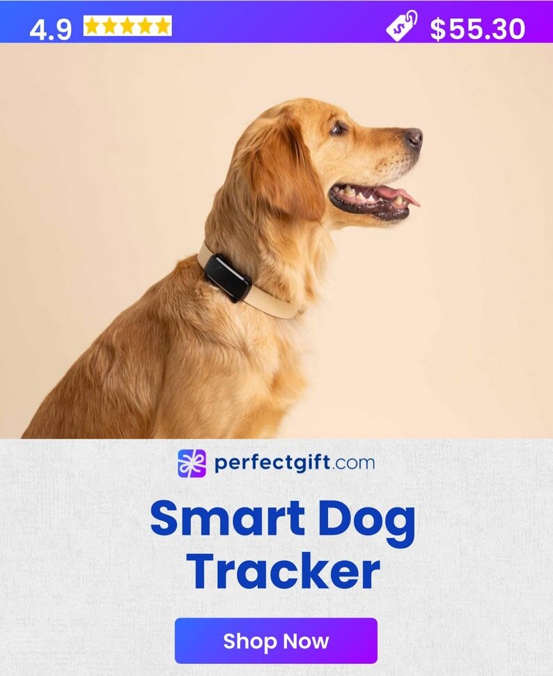 Smart Carry-On Luggage with Built-In Technology