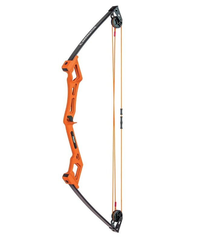 A bow with orange and black arrows arranged beside it, showcasing a striking color contrast.
