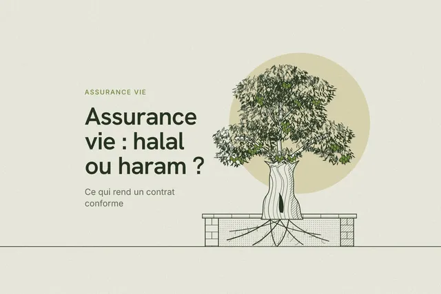 Gravure d'un vieil olivier planté dans un bac de pierre, ses racines visibles dans la terre, quelques olives vertes