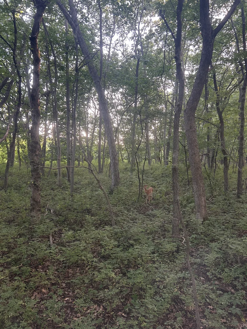 Second Nature