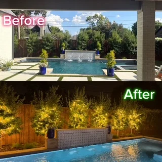 Before and after of a poolside backyard with string lights wrapped through trees