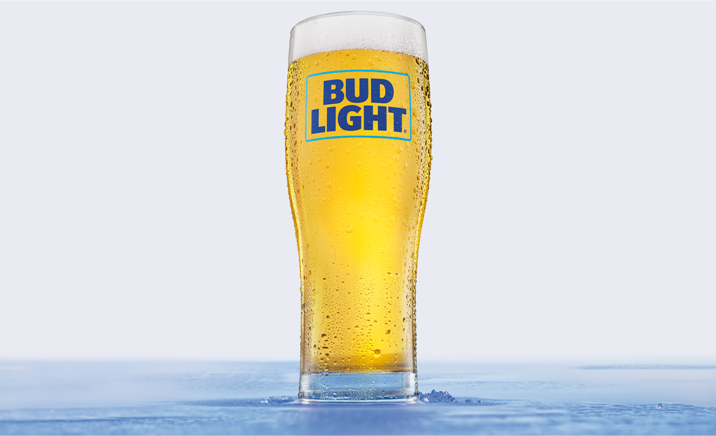 Bud Light Can