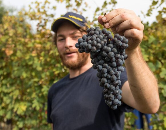 Piedmont New Releases: Diego Conterno