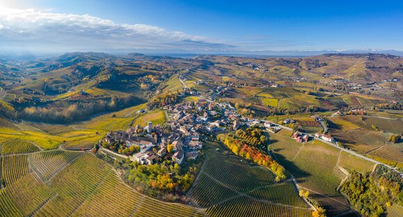 Piedmont Releases: Vietti