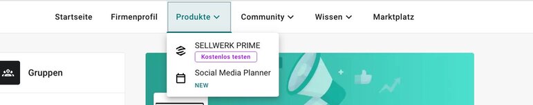 Produkte Ansicht auf der Sellwerk Website