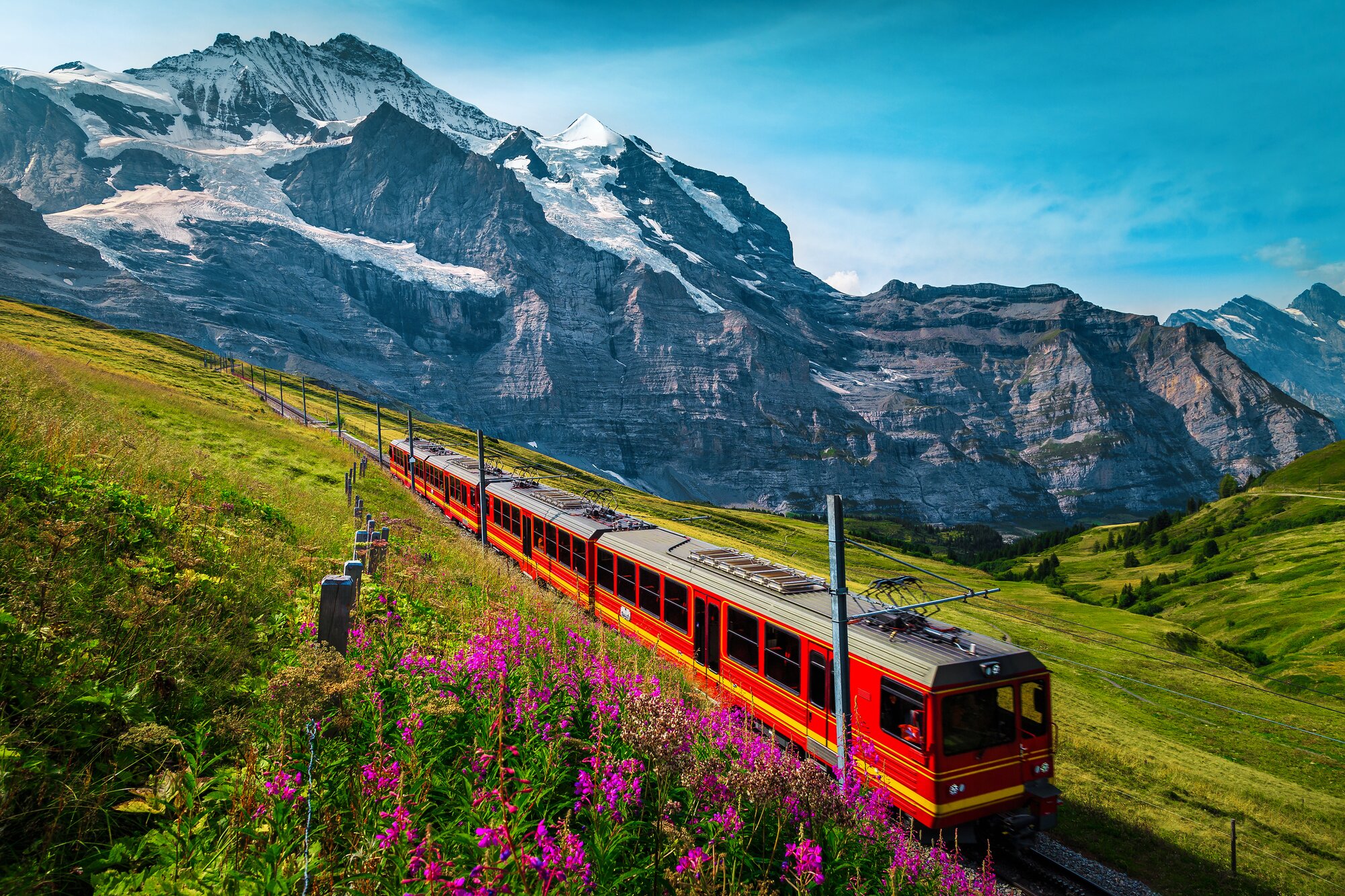 Blog image