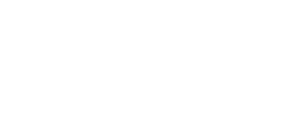 insanity logo
