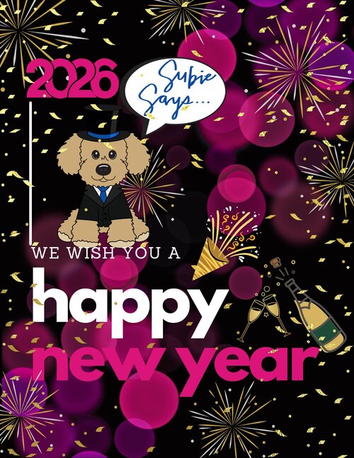 Happy New Year from Grand Subaru