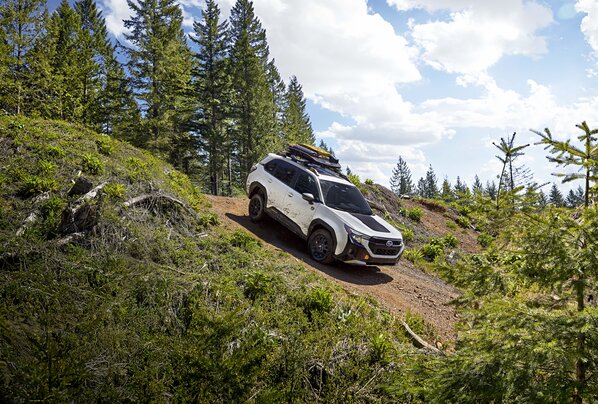 Subaru Forester Wilderness