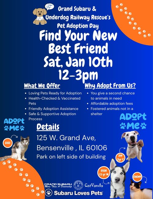 Pet adoption event