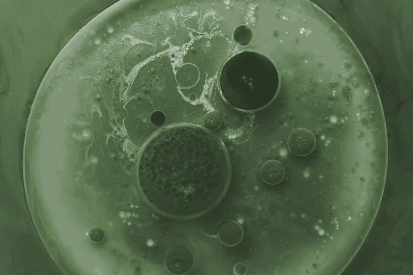 Green-tinted microscope image of cells