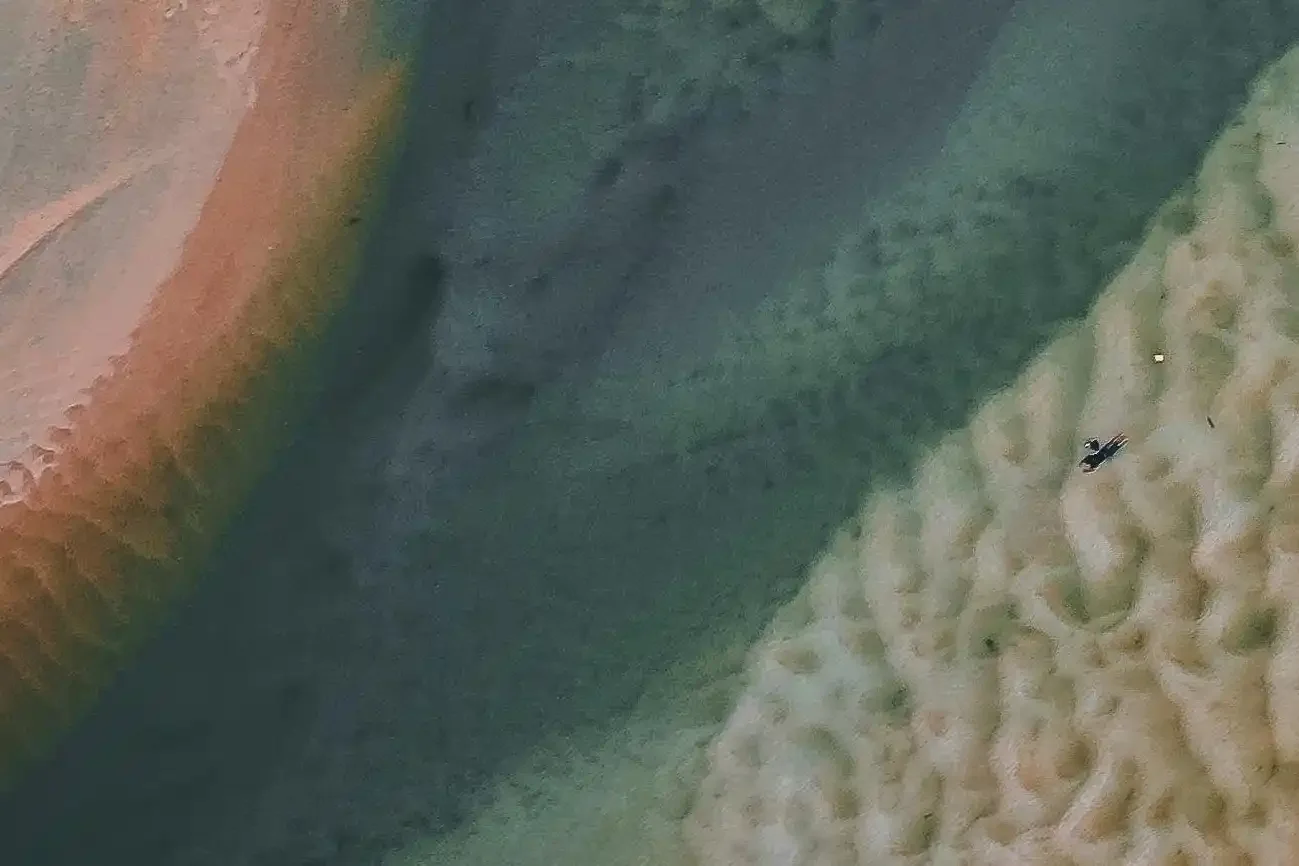 closeup of cells