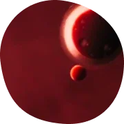 Microscope view of blood