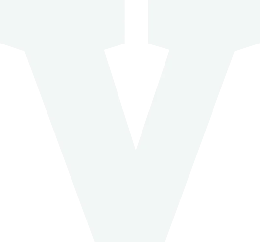 Vigilum icon