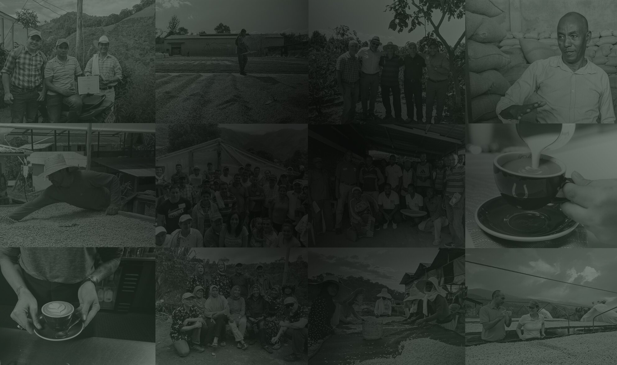 Honoring Every Human Hero Image