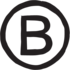 Letter B Icon