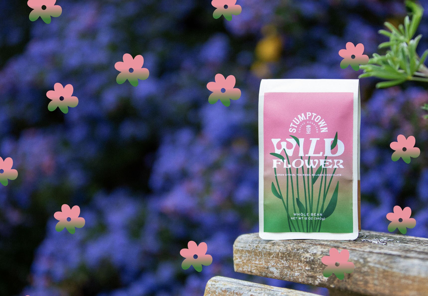 Wild Flower Blend Lifestyle