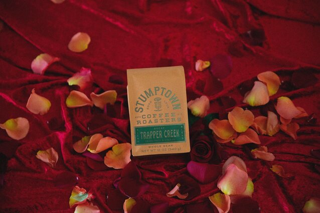 Decaf Flower Petal Background