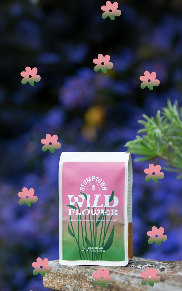 Wild Flower Blend Lifestyle