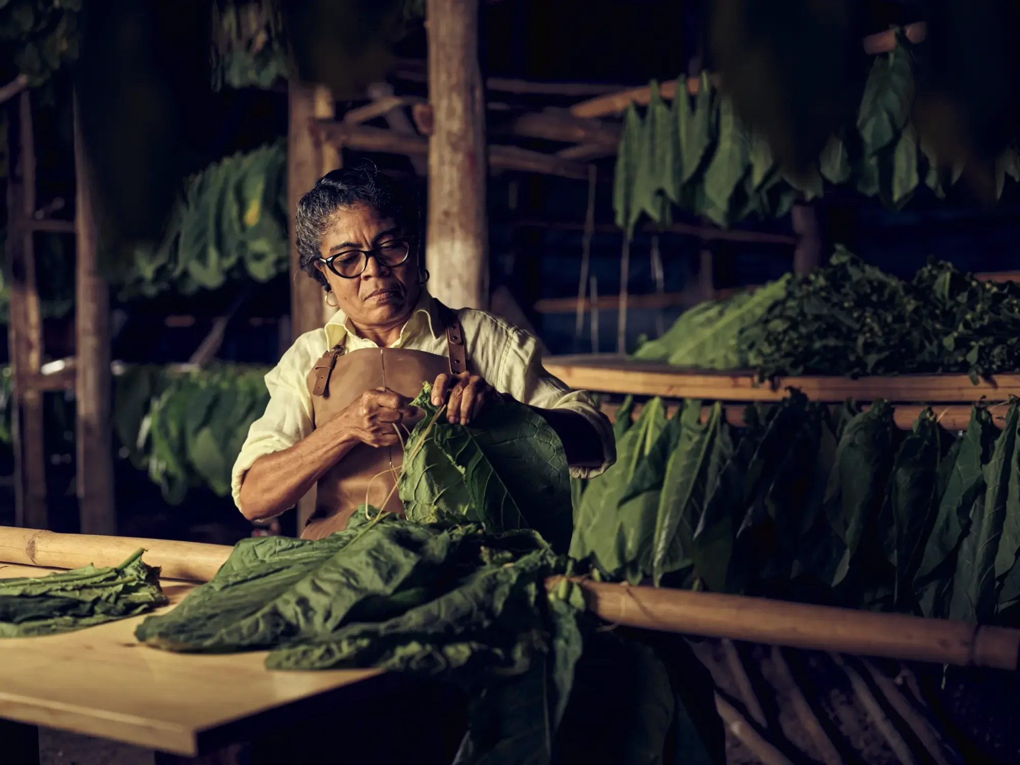 Curing leaves